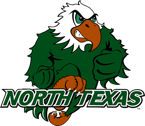 North Texas Mean Green 2003-2004 Alternate Logo diy iron on heat transfer